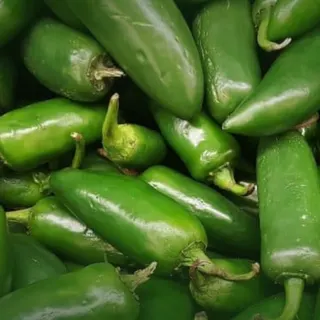 Fresh Green Jalapeño