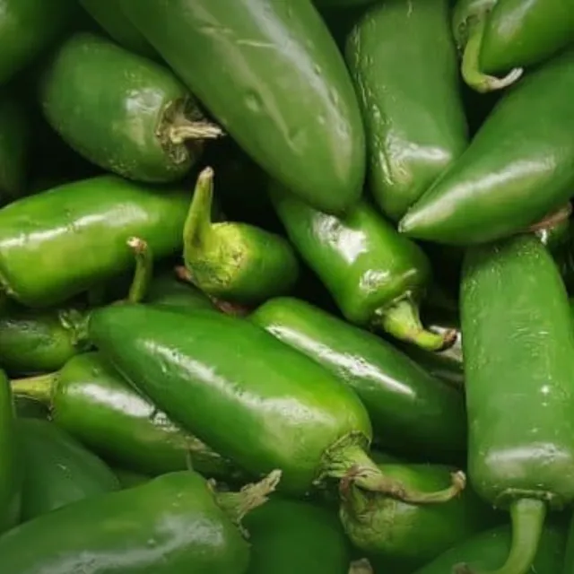 Fresh Green Jalapeño — Cabai Jalapeño Hijau Segar