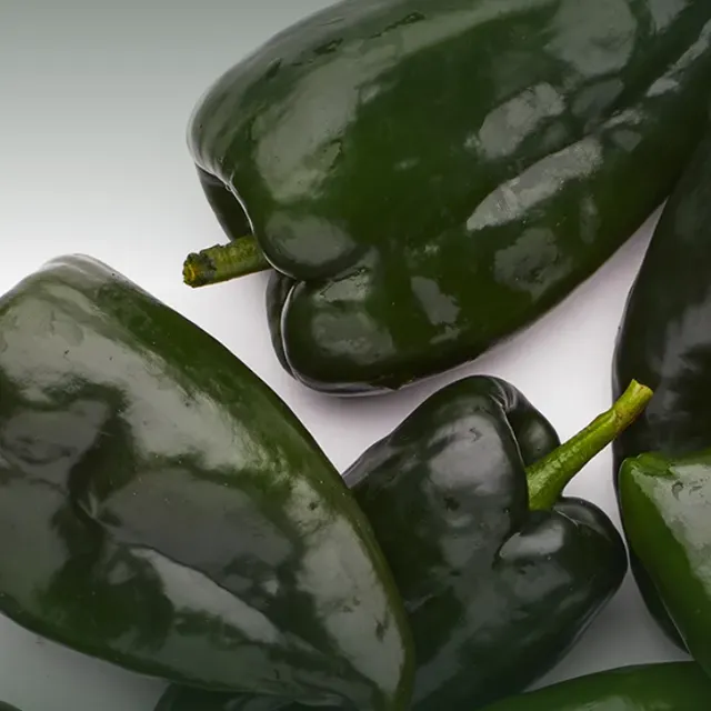 Fresh Poblano Chiles — Cabai Poblano Segar