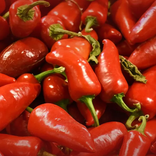 Fresh Red Ripe Jalapeño — Cabai Jalapeño Merah Segar