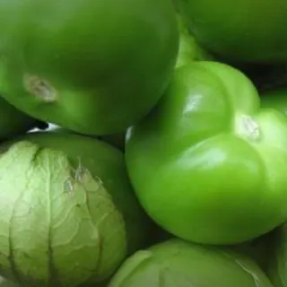 Fresh Green Tomatillos